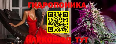 jwh Будённовск
